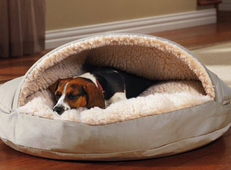 a dog is comfortably sleeping in his bed.