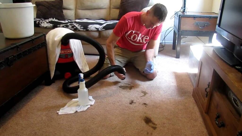 a man sitting on carpet and removing stain with vacuum cleaner.