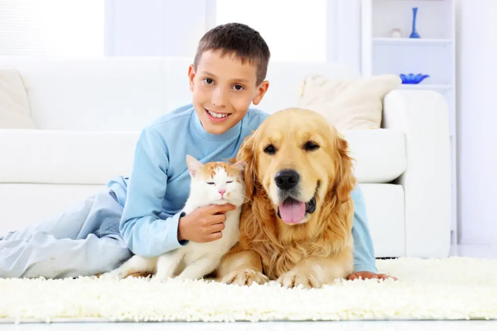 a kid sitting happily with his pets on carpet, a dog and a cat.