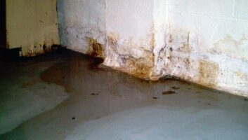 water leaks cause musty odors