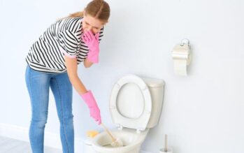 ClO2 for toilet cleaning odors