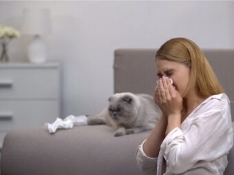 allergic reaction to pet dander